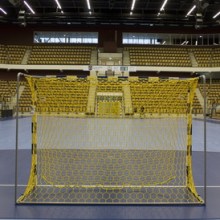 Ворота гандбольные Профессиональные 2